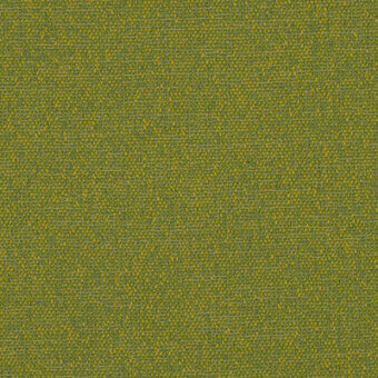 Lime - cod 15_13